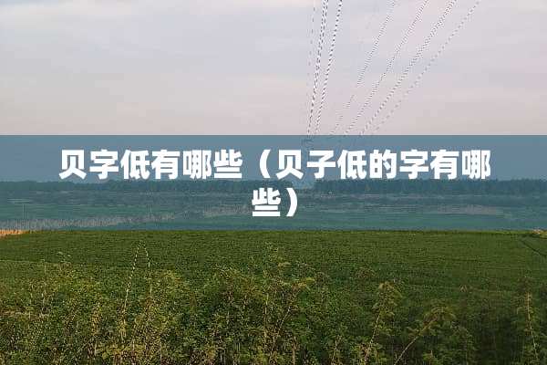 贝字低有哪些（贝子低的字有哪些）