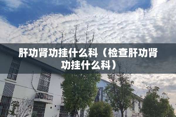 肝功肾功挂什么科（检查肝功肾功挂什么科）