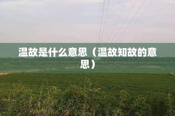 温故是什么意思（温故知故的意思）
