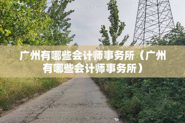 广州有哪些会计师事务所（广州有哪些会计师事务所）