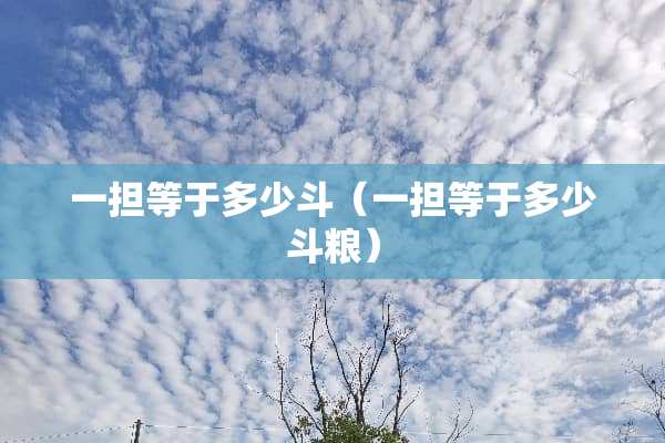 一担等于多少斗（一担等于多少斗粮）