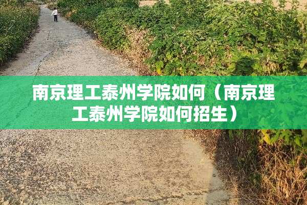 南京理工泰州学院如何（南京理工泰州学院如何招生）