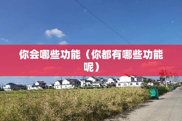 你会哪些功能（你都有哪些功能呢）