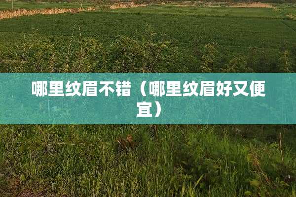 哪里纹眉不错（哪里纹眉好又便宜）