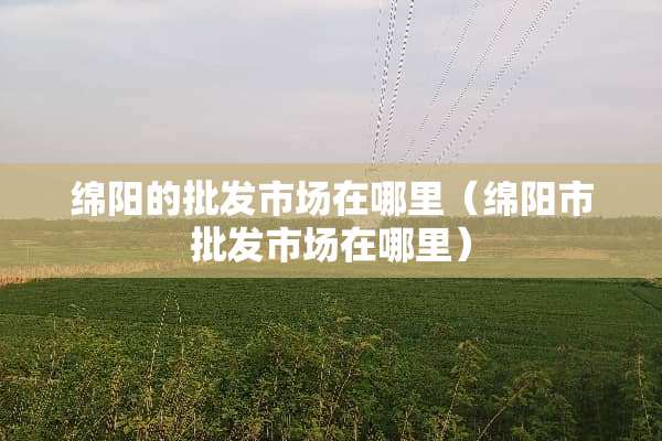 绵阳的批发市场在哪里（绵阳市批发市场在哪里）