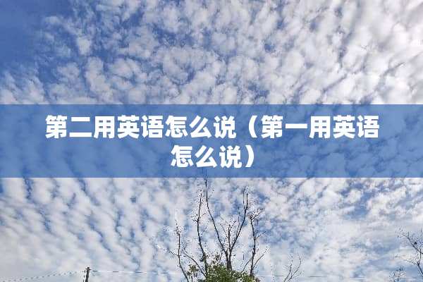 第二用英语怎么说（第一用英语怎么说）
