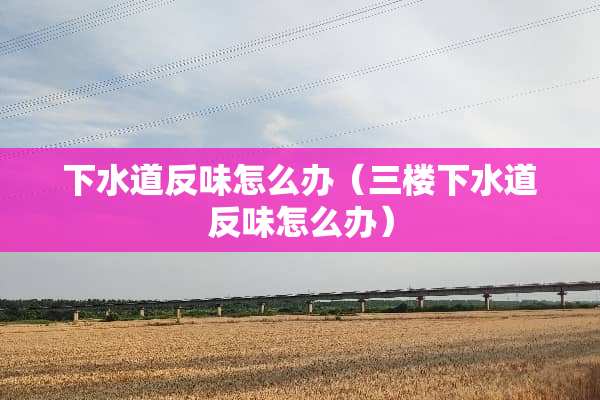 下水道反味怎么办（三楼下水道反味怎么办）