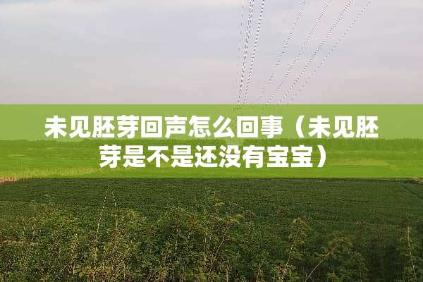 未见胚芽回声怎么回事（未见胚芽是不是还没有宝宝）