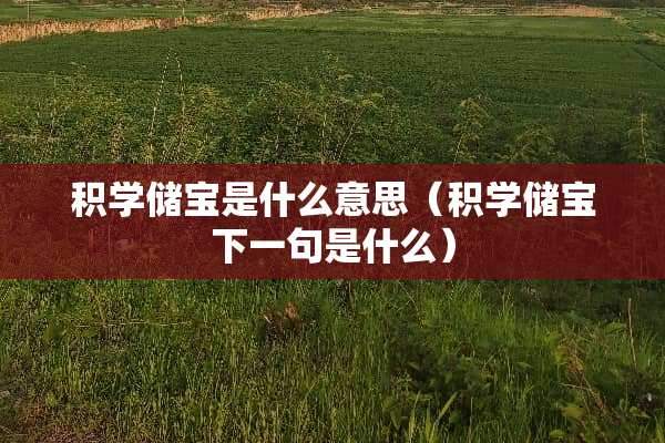 积学储宝是什么意思（积学储宝下一句是什么）