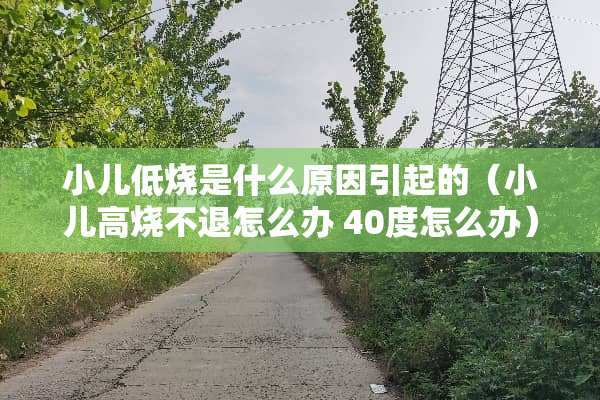 小儿低烧是什么原因引起的（小儿高烧不退怎么办 40度怎么办）