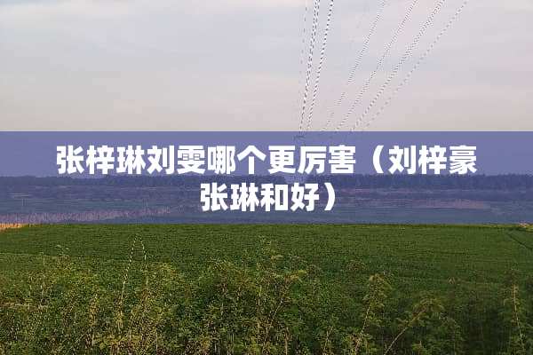 张梓琳刘雯哪个更厉害（刘梓豪张琳和好）