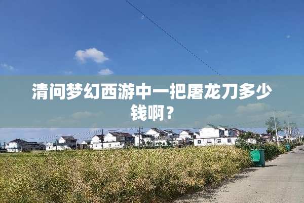 清问梦幻西游中一把屠龙刀多少钱啊？