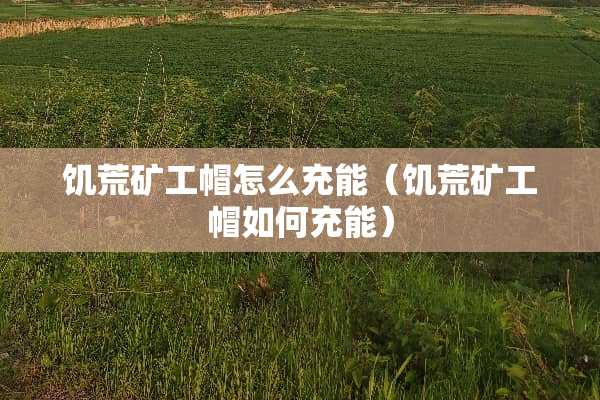 饥荒矿工帽怎么充能（饥荒矿工帽如何充能）