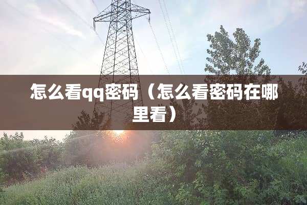 怎么看qq密码（怎么看密码在哪里看）