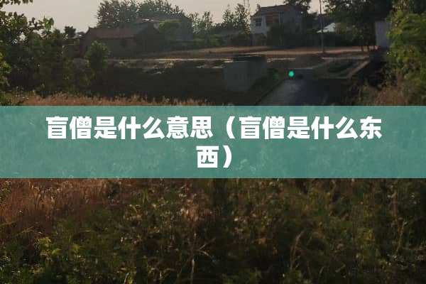 盲僧是什么意思（盲僧是什么东西）