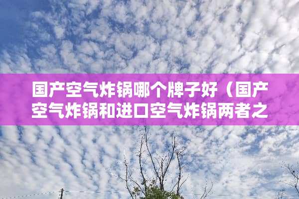 国产空气炸锅哪个牌子好（国产空气炸锅和进口空气炸锅两者之比较）