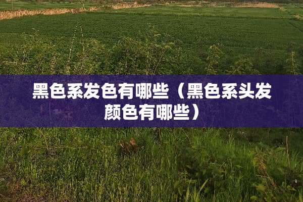 黑色系发色有哪些（黑色系头发颜色有哪些）