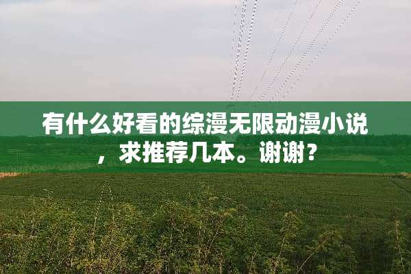 有什么好看的综漫无限动漫小说，求推荐几本。谢谢？