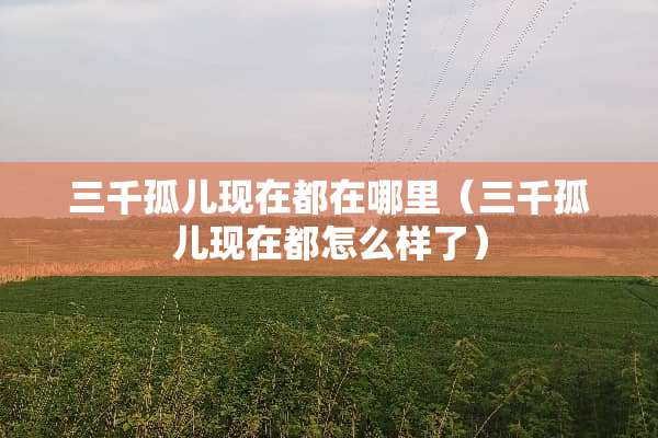 三千孤儿现在都在哪里（三千孤儿现在都怎么样了）