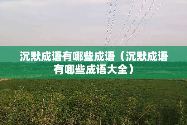 沉默成语有哪些成语（沉默成语有哪些成语大全）