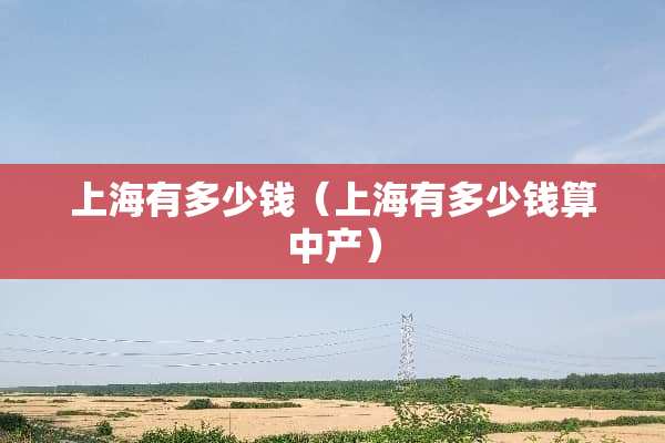 上海有多少钱（上海有多少钱算中产）
