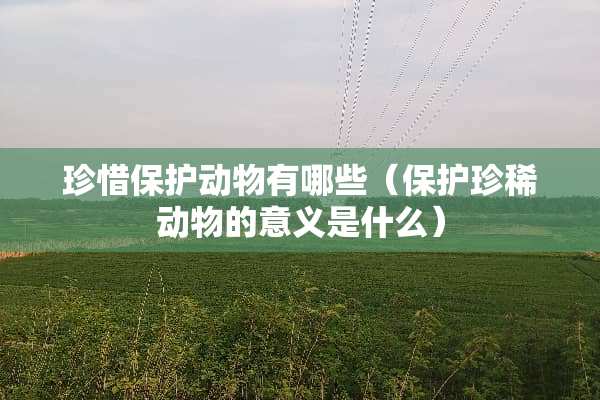 珍惜保护动物有哪些（保护珍稀动物的意义是什么）