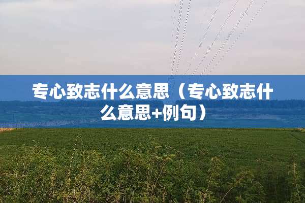 专心致志什么意思（专心致志什么意思+例句）