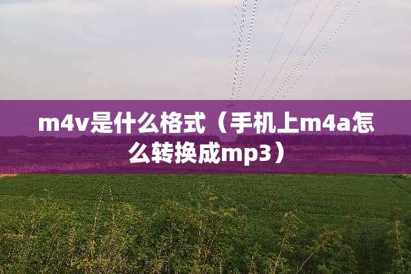 m4v是什么格式（手机上m4a怎么转换成mp3）