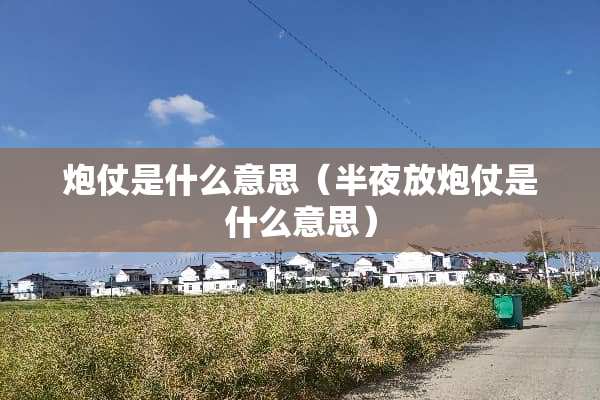 *仗是什么意思（半夜放*仗是什么意思）