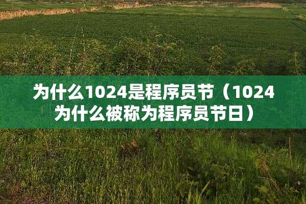 为什么1024是程序员节（1024为什么被称为程序员节日）