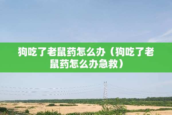 狗吃了老鼠药怎么办（狗吃了老鼠药怎么办急救）