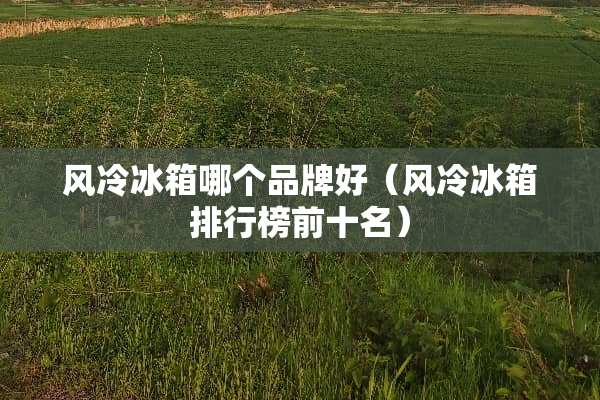 风冷冰箱哪个品牌好（风冷冰箱排行榜前十名）