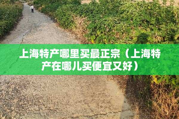 上海特产哪里买最正宗（上海特产在哪儿买便宜又好）