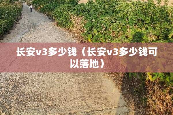 长安v3多少钱（长安v3多少钱可以落地）
