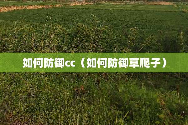 如何防御cc（如何防御草爬子）