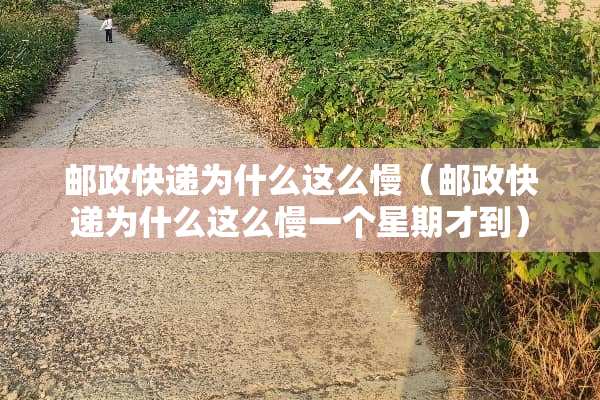 邮政快递为什么这么慢（邮政快递为什么这么慢一个星期才到）