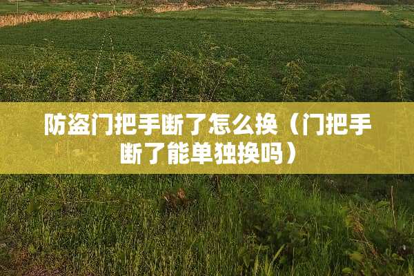 防盗门把手断了怎么换（门把手断了能单独换吗）