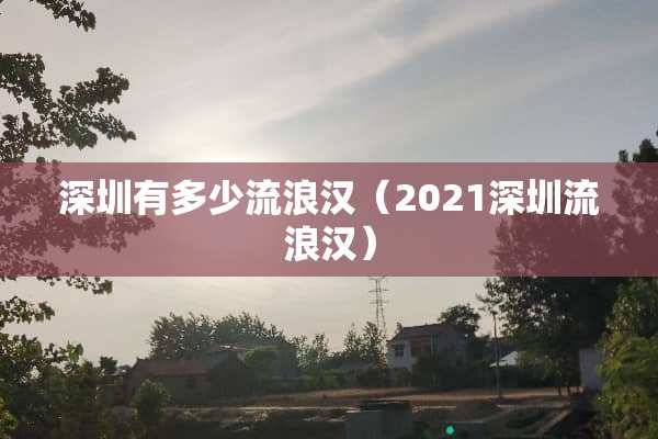 深圳有多少流浪汉（2021深圳流浪汉）