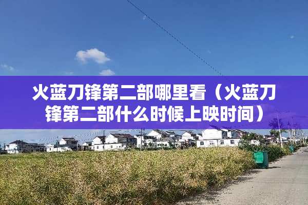 火蓝刀锋第二部哪里看（火蓝刀锋第二部什么时候上映时间）