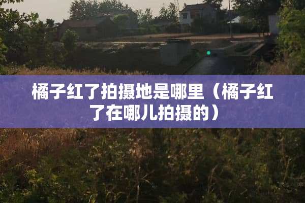 橘子红了拍摄地是哪里（橘子红了在哪儿拍摄的）