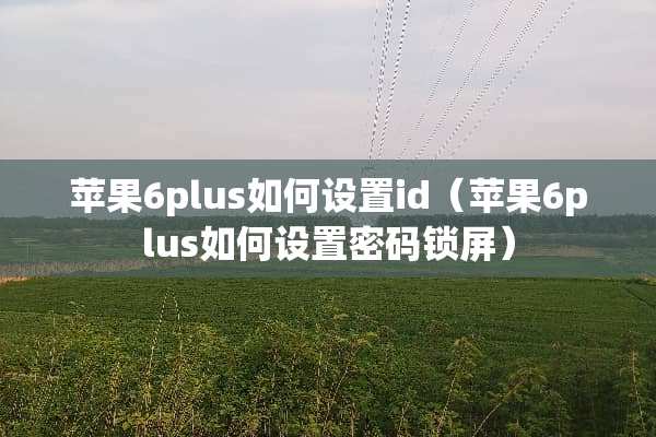 苹果6plus如何设置id（苹果6plus如何设置密码锁屏）