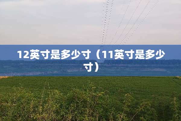12英寸是多少寸（11英寸是多少寸）