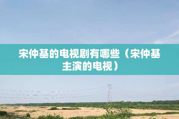 宋仲基的电视剧有哪些（宋仲基主演的电视）