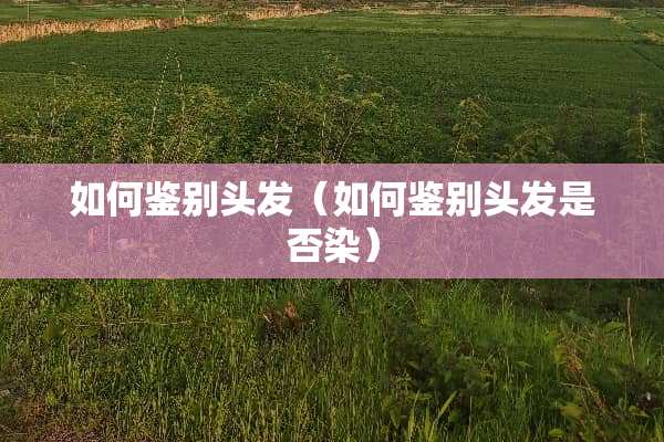 如何鉴别头发（如何鉴别头发是否染）