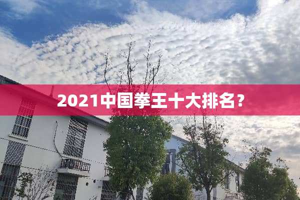 2021中国拳王十大排名？