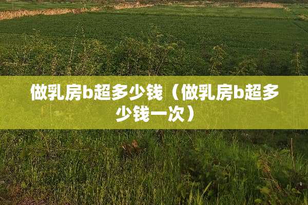 做*房b超多少钱（做*房b超多少钱一次）