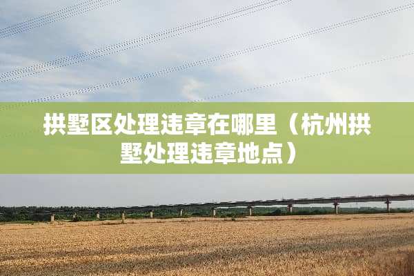 拱墅区处理违章在哪里（杭州拱墅处理违章地点）