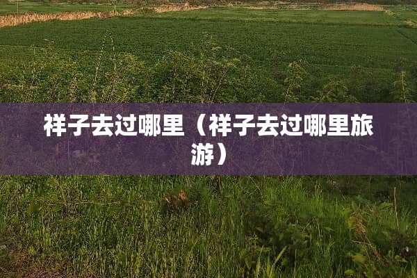 祥子去过哪里（祥子去过哪里旅游）