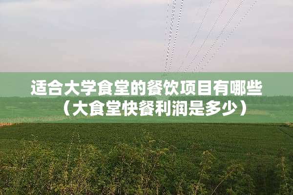 适合大学食堂的餐饮项目有哪些（大食堂快餐利润是多少）