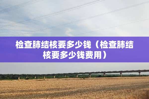 检查肺结核要多少钱（检查肺结核要多少钱费用）